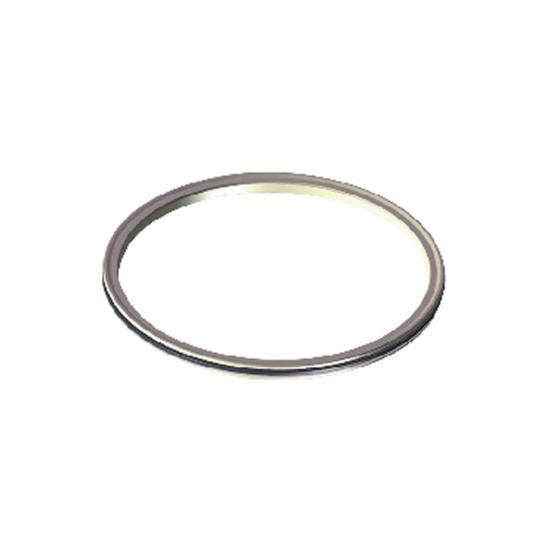 Spring energized Outer Face Seal